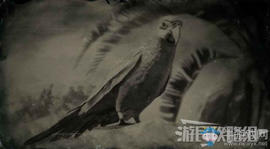 《荒野大鏢客2》全動(dòng)物位置及狩獵方法大全