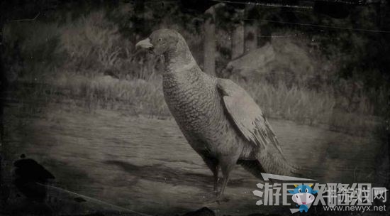 《荒野大鏢客2》全動物位置及狩獵方法大全