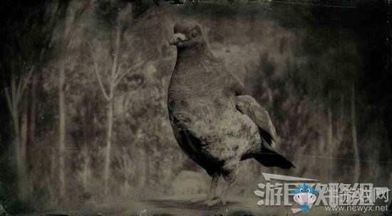 《荒野大鏢客2》全動(dòng)物位置及狩獵方法大全