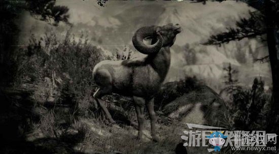 《荒野大鏢客2》全動(dòng)物位置及狩獵方法大全