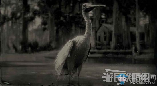 《荒野大鏢客2》全動物位置及狩獵方法大全