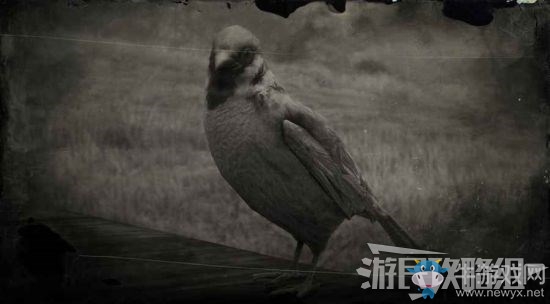 《荒野大鏢客2》全動(dòng)物位置及狩獵方法大全