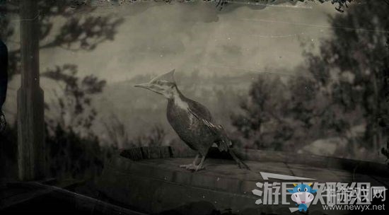 《荒野大鏢客2》全動(dòng)物位置及狩獵方法大全