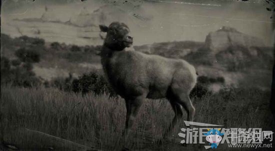《荒野大鏢客2》全動(dòng)物位置及狩獵方法大全