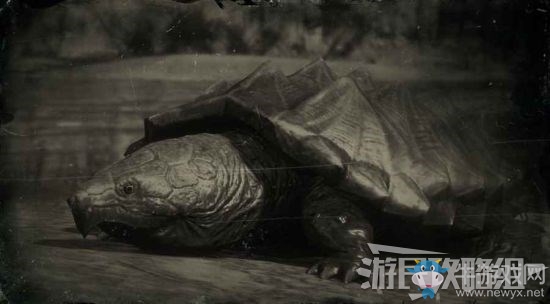 《荒野大鏢客2》全動物位置及狩獵方法大全