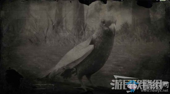 《荒野大鏢客2》全動(dòng)物位置及狩獵方法大全