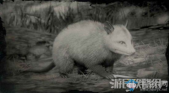 《荒野大鏢客2》全動物位置及狩獵方法大全