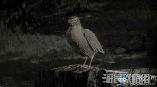 《荒野大鏢客2》全動物位置及狩獵方法大全