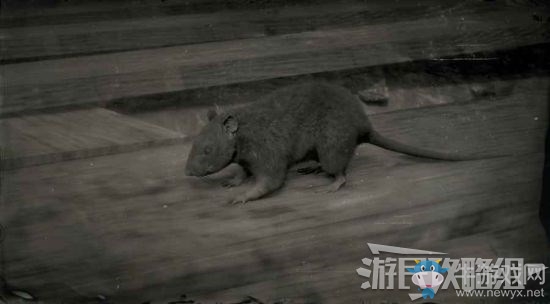 《荒野大鏢客2》全動(dòng)物位置及狩獵方法大全