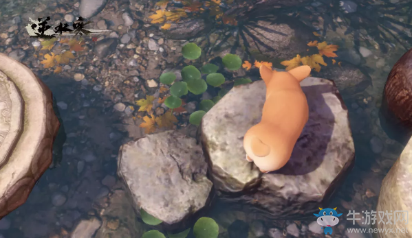 《逆水寒》寵物柯基介紹