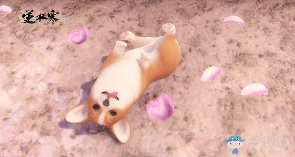 《逆水寒》寵物柯基介紹