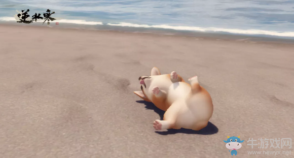 《逆水寒》寵物柯基介紹