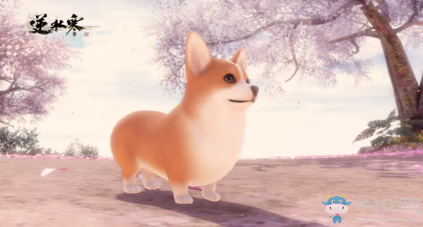 《逆水寒》寵物柯基介紹