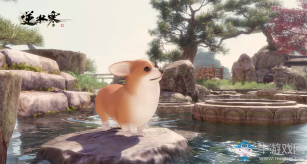 《逆水寒》寵物柯基介紹