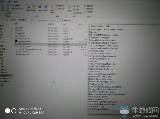 《鬼泣5》Win10閃退問題解決辦法
