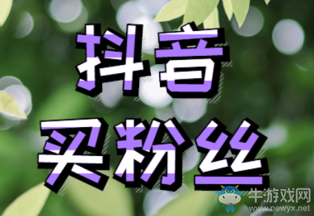 抖音在哪買粉絲,買粉絲一定要進(jìn)的網(wǎng)站!據(jù)說隱藏著新功能!