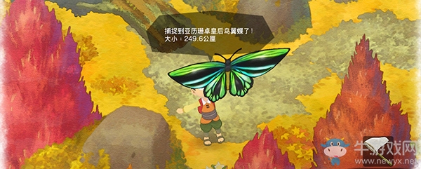 《哆啦A夢：牧場物語》第一年秋季圖文攻略介紹