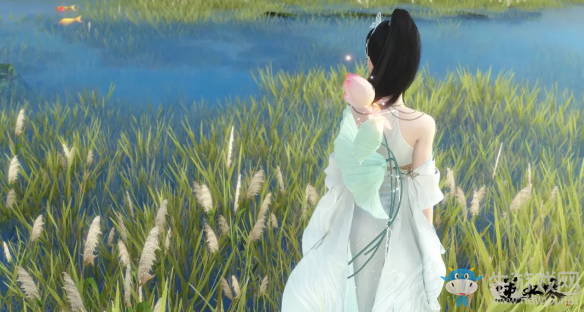 《逆水寒》背飾傘池荷圓影介紹