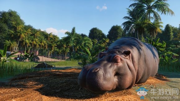 《動(dòng)物園之星》動(dòng)物匯總介紹