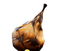 《遺跡：灰燼重生》全消耗品獲取方法