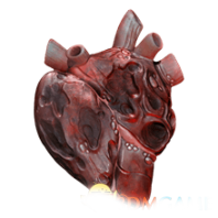 《遺跡：灰燼重生》全合成材料獲取方法