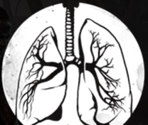 《遺跡：灰燼重生》全天賦特征獲取方法