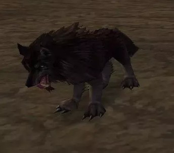 《魔獸世界懷舊服》基布雷爾的特殊寵物任務攻略