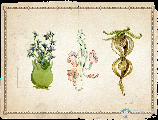 《LOL》喚潮鮫姬娜美背景故事