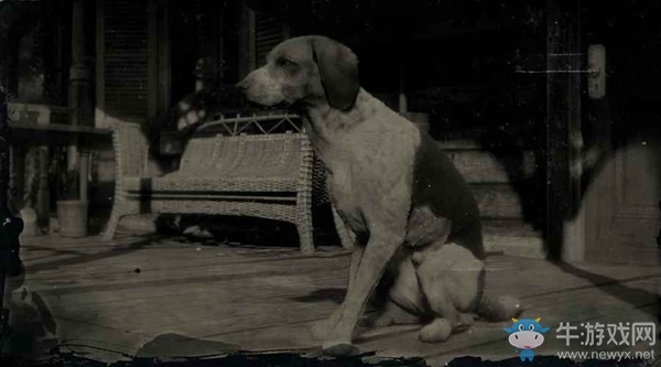 《荒野大鏢客2》美國獵狐犬圖鑒一覽