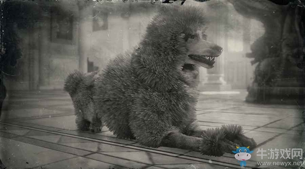 《荒野大鏢客2》貴賓犬圖鑒一覽