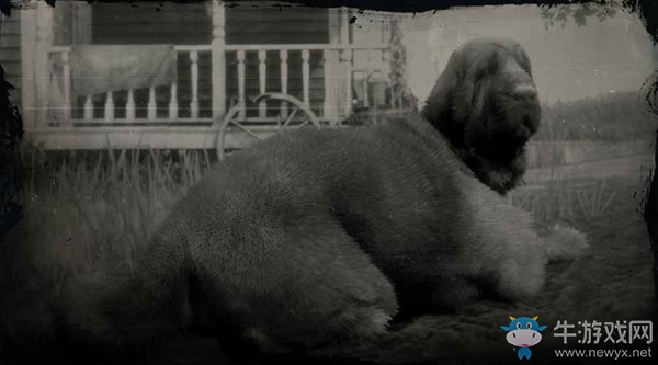 《荒野大鏢客2》尋血獵犬圖鑒一覽