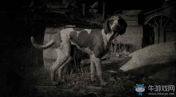 《荒野大鏢客2》藍(lán)斑浣熊獵犬圖鑒一覽
