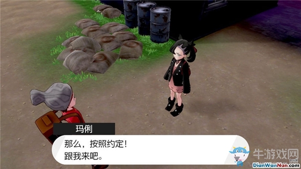 《精靈寶可夢：劍/盾》9號道路劇情流程攻略