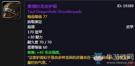 《魔獸世界懷舊服》緊繃的龍皮護肩屬性介紹