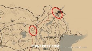 《荒野大鏢客2》落基山脈公麋鹿圖鑒一覽