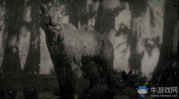 《荒野大鏢客2》山獅圖鑒一覽