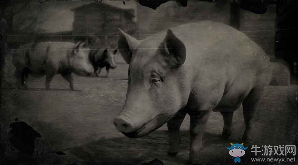 《荒野大鏢客2》巴克夏豬圖鑒一覽