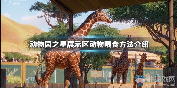 《動物園之星》展示區(qū)動物喂食方法介紹