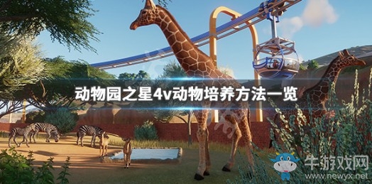 《動物園之星》4v動物培養(yǎng)攻略