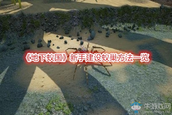 《地下蟻國》新手建設(shè)蟻巢方法一覽