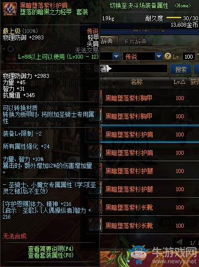 《DNF》黑暗墮落紫杉護肩介紹