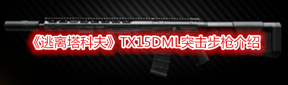 《逃離塔科夫》TX15DML突擊步槍介紹