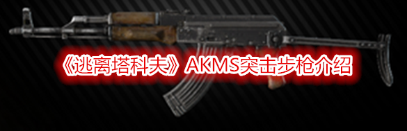 《逃離塔科夫》AKMS突擊步槍介紹