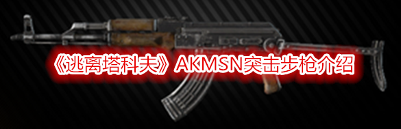 《逃離塔科夫》AKMSN突擊步槍介紹