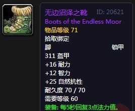 《魔獸世界懷舊服》無邊沼澤之靴屬性介紹