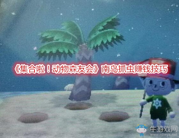 《集合啦！動(dòng)物森友會(huì)》南島抓蟲(chóng)賺錢(qián)技巧