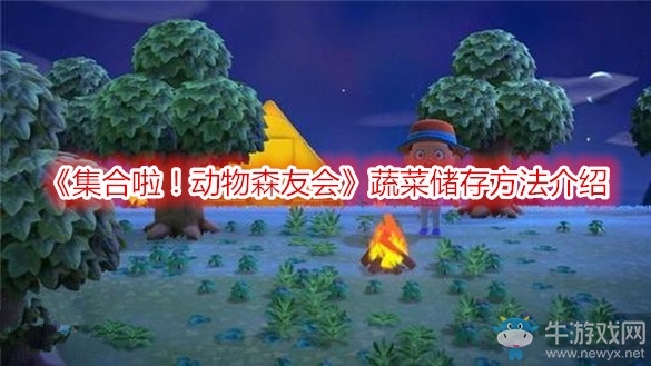 《集合啦！動物森友會》蔬菜儲存方法介紹