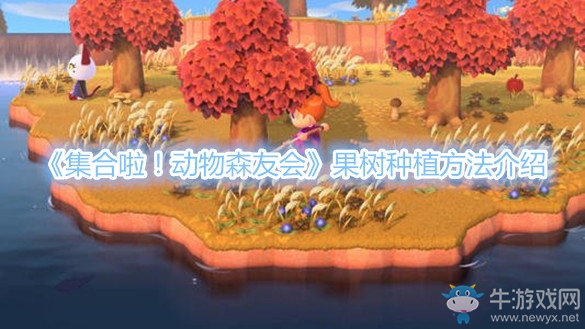 《集合啦！動物森友會》果樹種植方法介紹