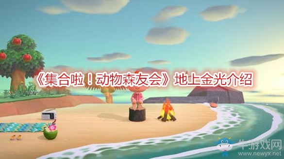 《集合啦！動(dòng)物森友會(huì)》地上金光介紹