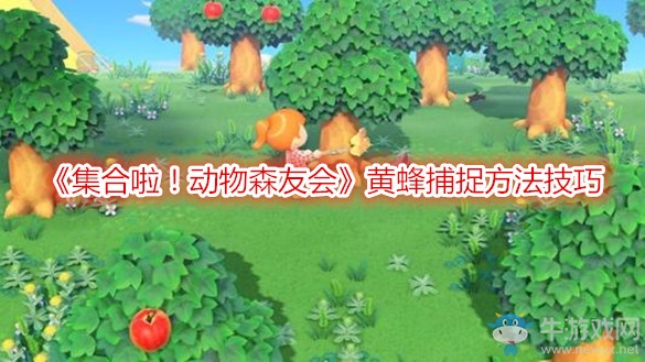 《集合啦！動物森友會》黃蜂捕捉方法技巧